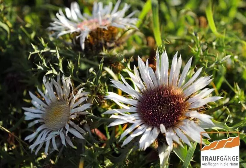 Hotell Garni In Der Breite