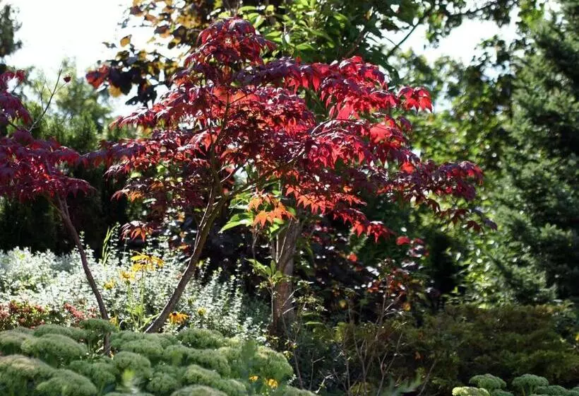 Hotell Garni In Der Breite