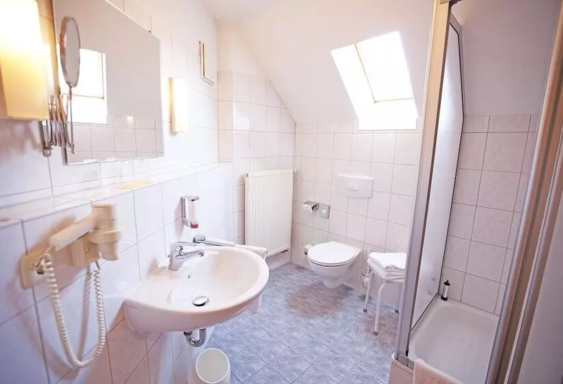 Отель Goldener Adler Garni