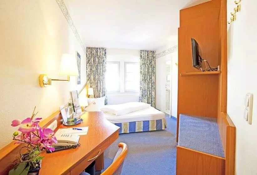 Отель Goldener Adler Garni