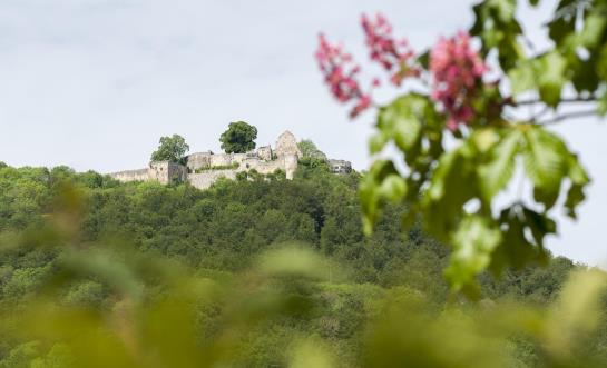 膳宿费 Gästehaus Walter