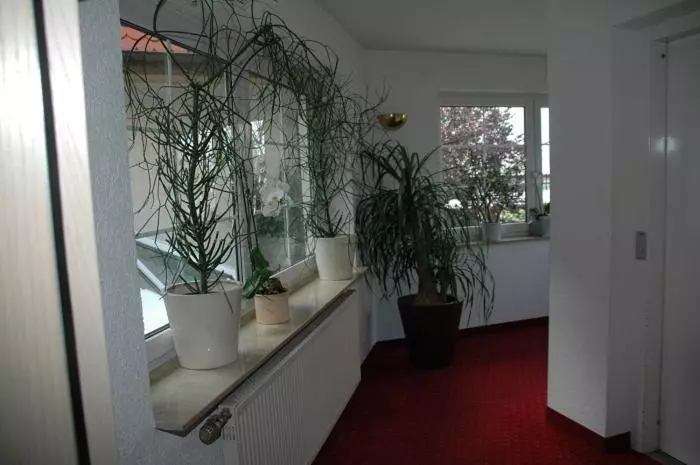 בית מלון כפרי Mayers Waldhorn   Zwischen Reutlingen Und Tübingen