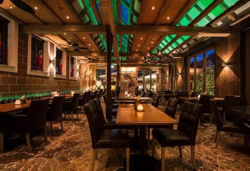 酒店 Meiser Altstadt