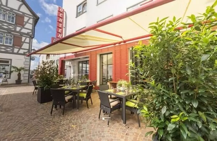 בית מלון כפרי Ochsen