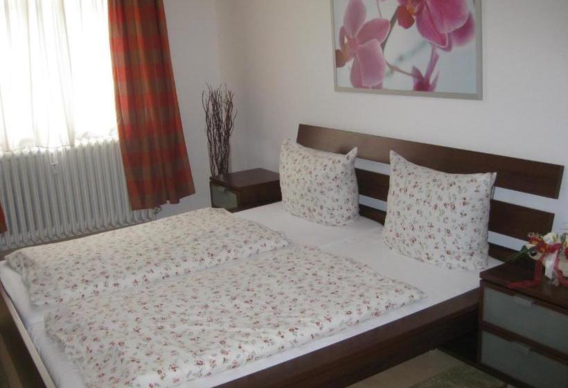 酒店 Pension Ludwigshof