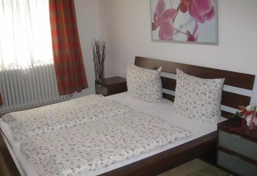 هتل Pension Ludwigshof