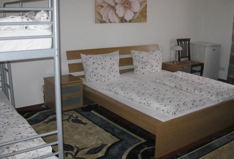 酒店 Pension Ludwigshof