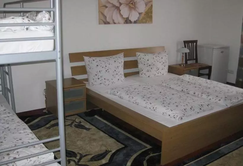 هتل Pension Ludwigshof