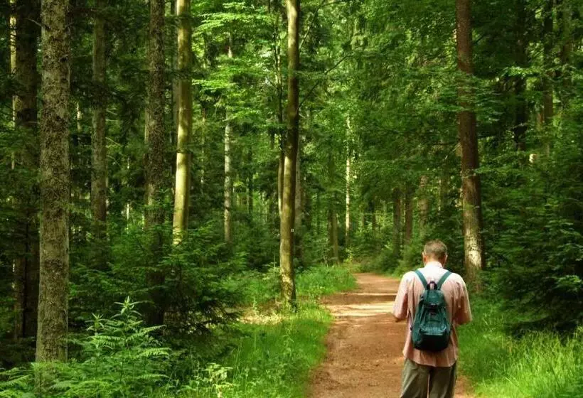 בית מלון כפרי Waldschloss