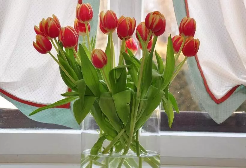 Landhotel Schloss Buttenheim