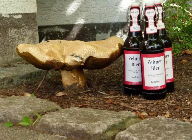 Пансион Landgasthof Zehner