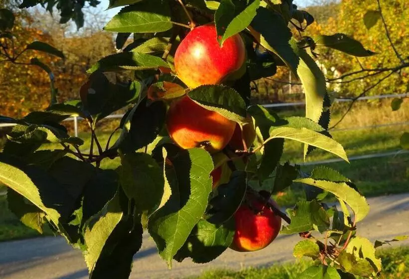 Пансион Landgasthof Zehner