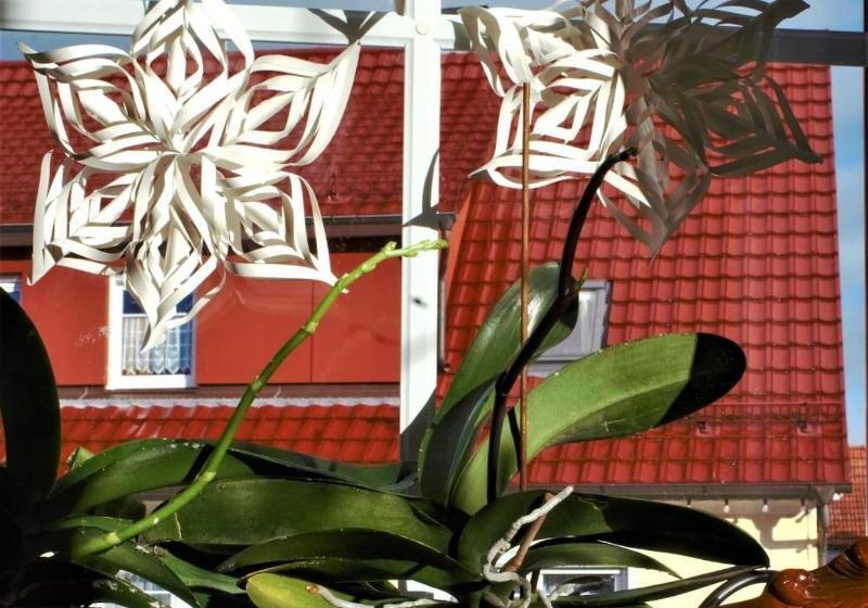 펜션 Moorbadstuben