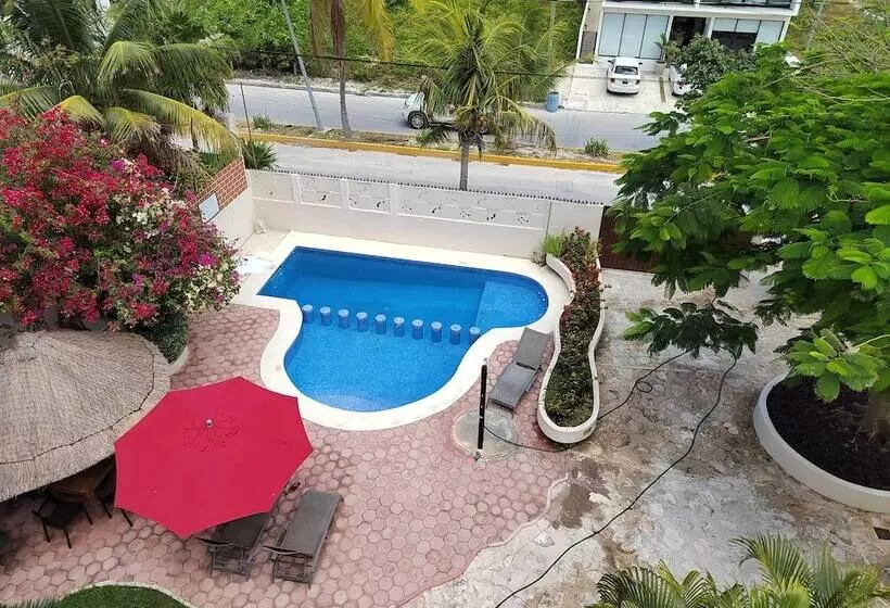 Hotelli Cabañas Puerto Morelos