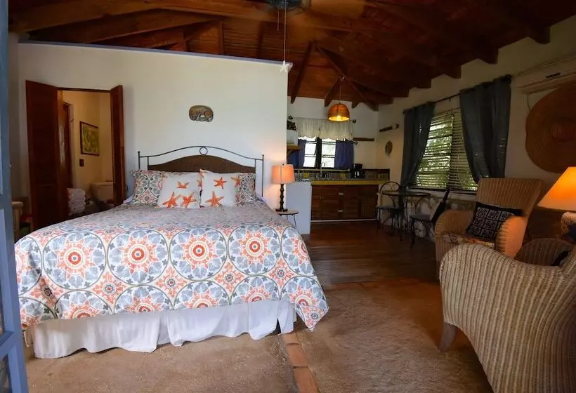 ホテル Pigeon Cay Beach Club