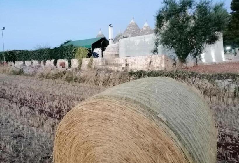 تختخواب و صبحانه Giaster