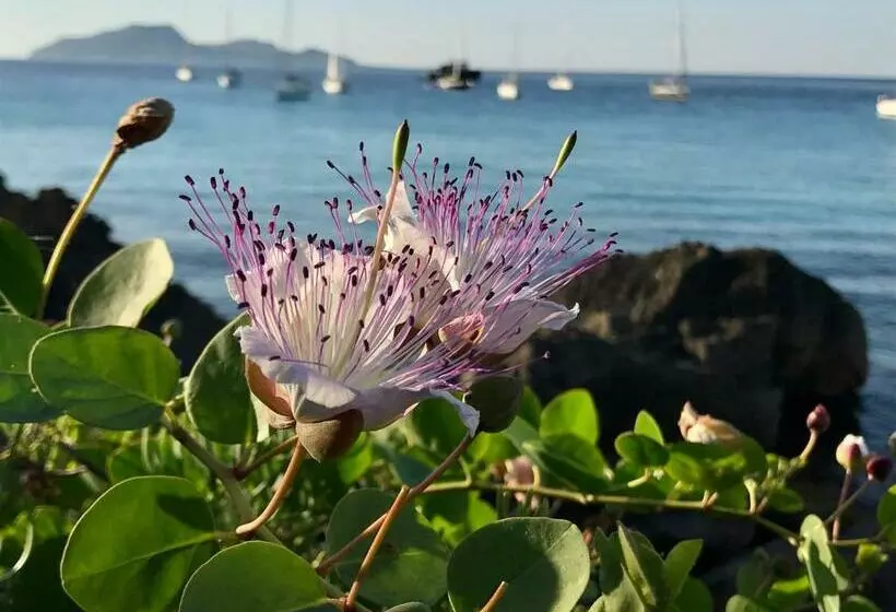 ペンション Zaffiro Lavico Rooms Etna Nature Sea