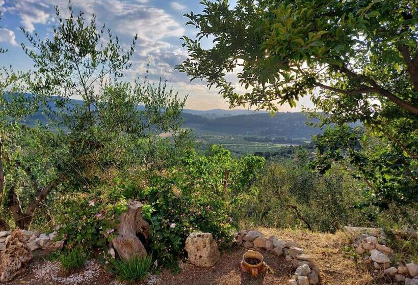 B&b Villa Maria Ester