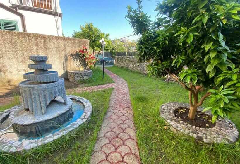 تختخواب و صبحانه Gather Inn Guest House