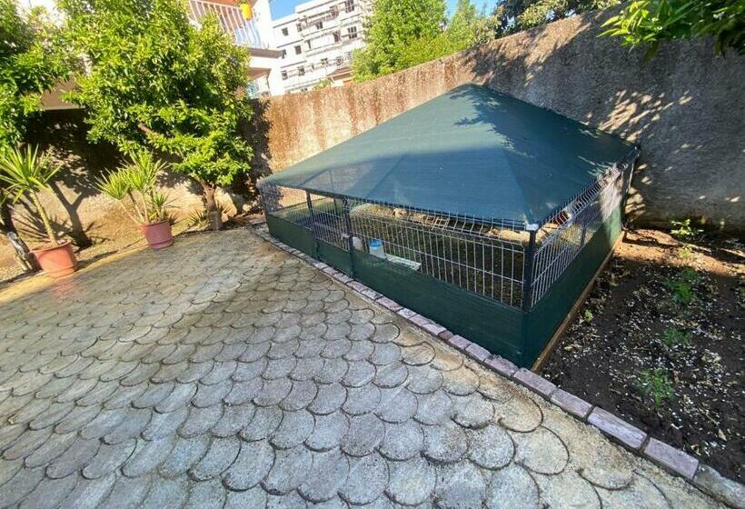 تختخواب و صبحانه Gather Inn Guest House