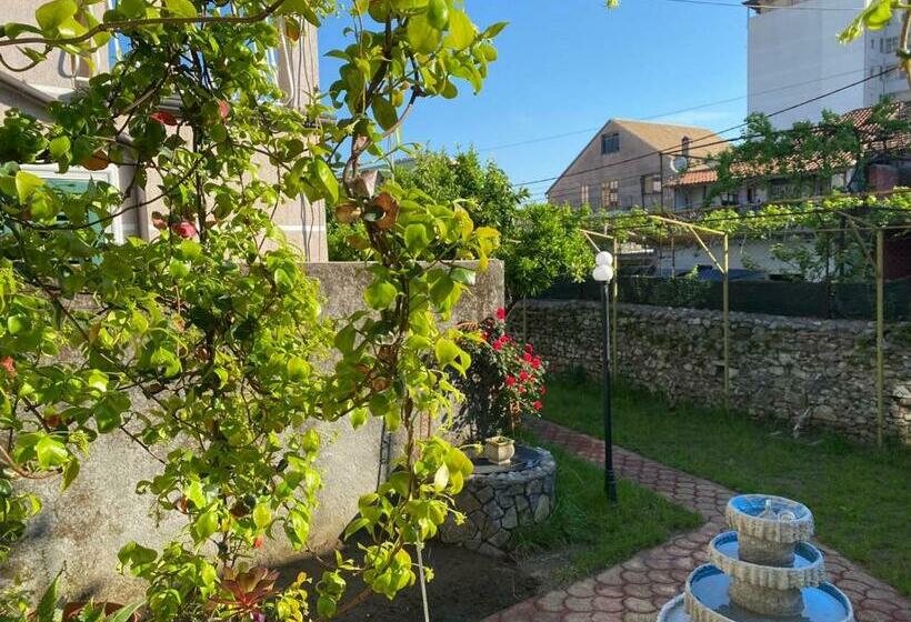 تختخواب و صبحانه Gather Inn Guest House