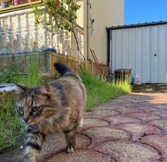 تختخواب و صبحانه Gather Inn Guest House