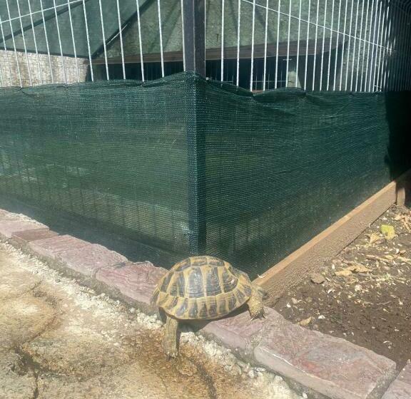 تختخواب و صبحانه Gather Inn Guest House