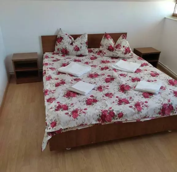 ペンション Casa Drumețului