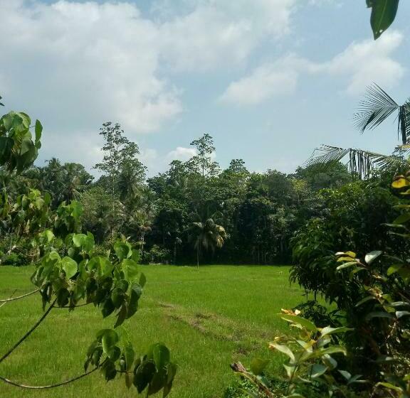 פנסיון Fendi Eco Lodge