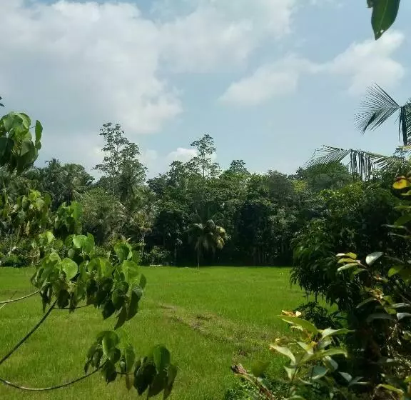 Majatalo Fendi Eco Lodge