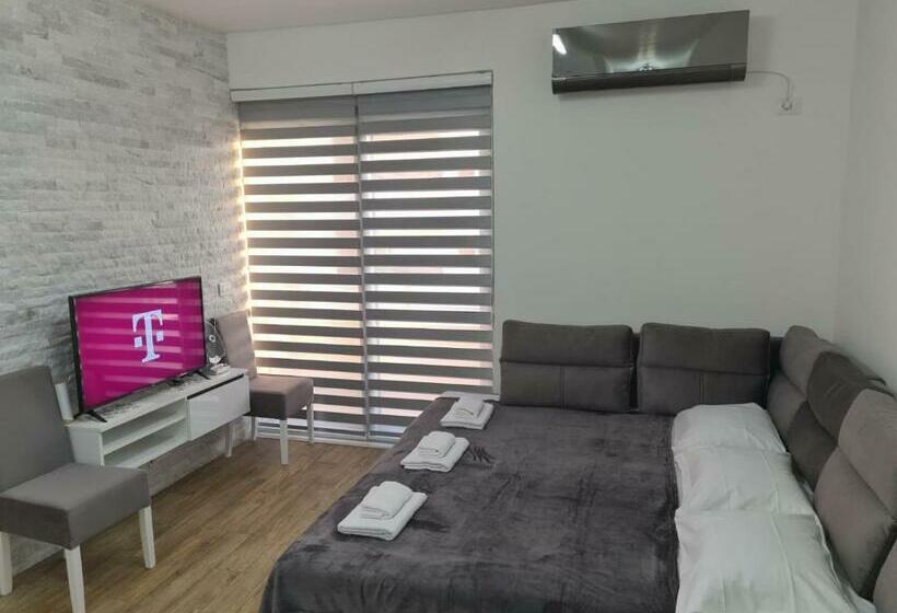 Apartments Big Lux 1