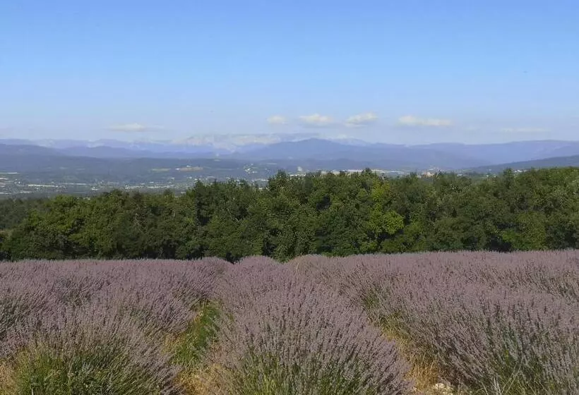 ベッドアンドブレックファースト Chez Nathalie Et Raphaël