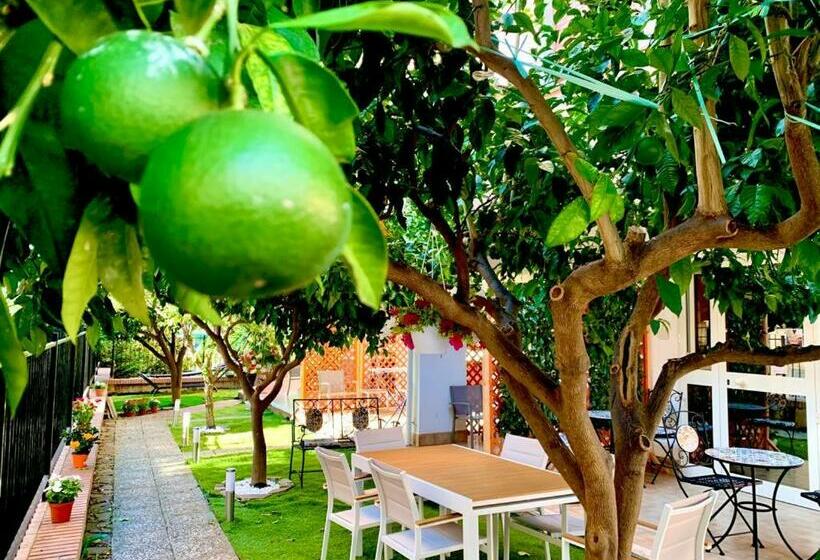 مبيت وإفطار Dimora Leone