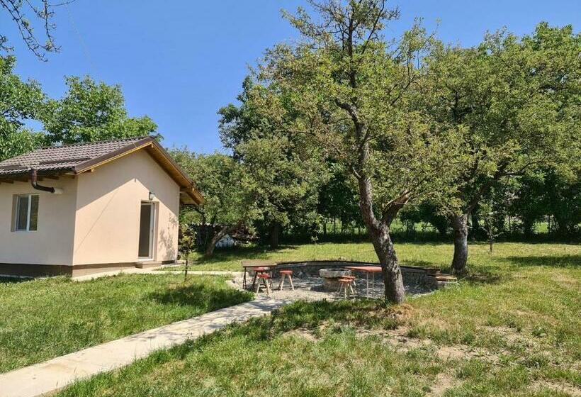 Mountain View 2   Ciubar