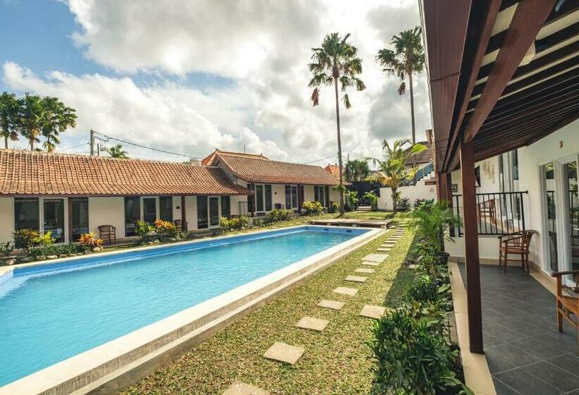 פנסיון Nami Surf Stay