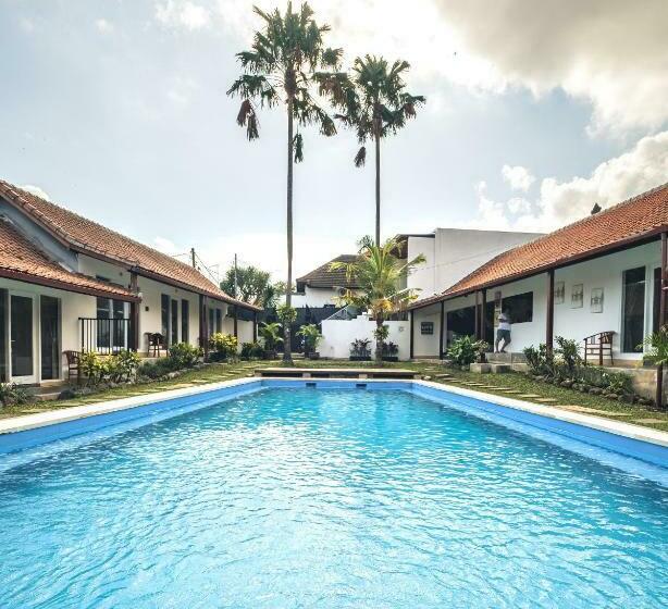 פנסיון Nami Surf Stay