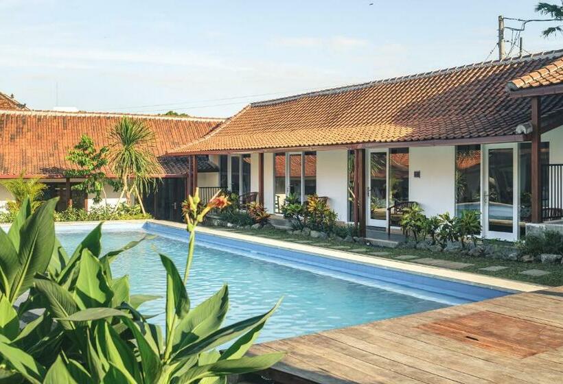 פנסיון Nami Surf Stay