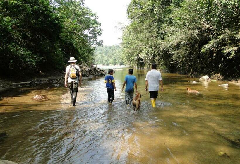 旅馆 Grand Selva Lodge & Tours