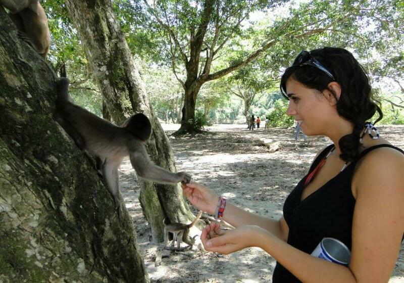 旅馆 Grand Selva Lodge & Tours