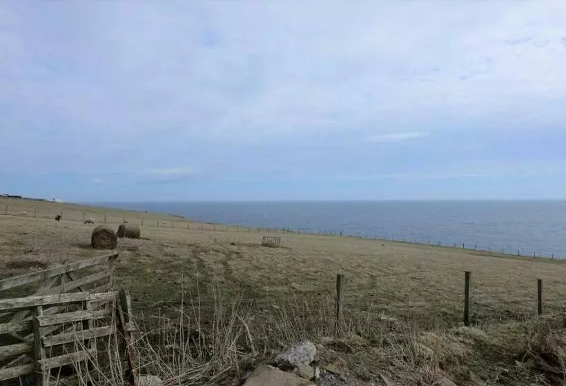 ベッドアンドブレックファースト Fabulous Location With Sea And Castle View   Nc500