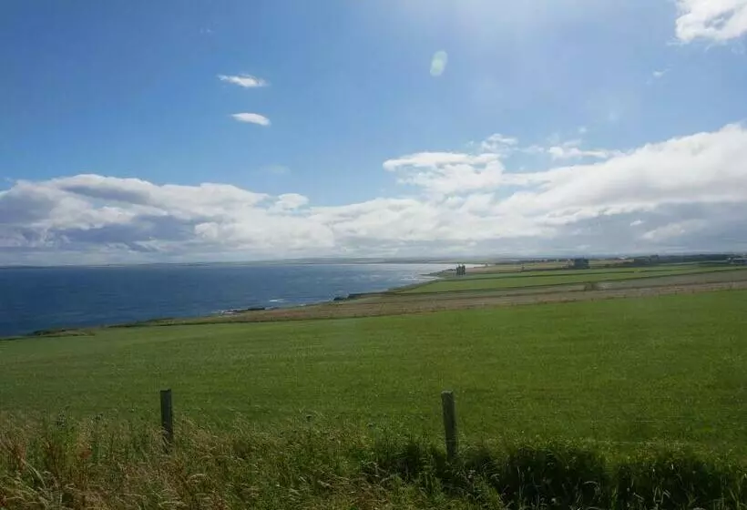 ベッドアンドブレックファースト Fabulous Location With Sea And Castle View   Nc500
