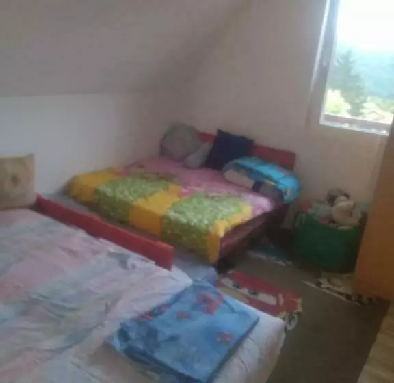Bor, Savaca   Porodicna Vikendica Za Izdavanje