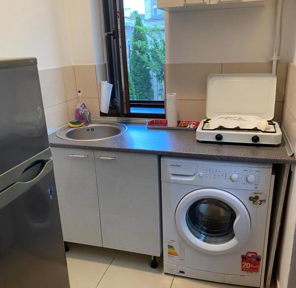 پانسیون Garsoniera Delfinariu