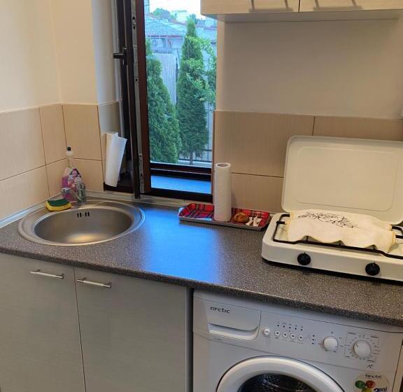 پانسیون Garsoniera Delfinariu