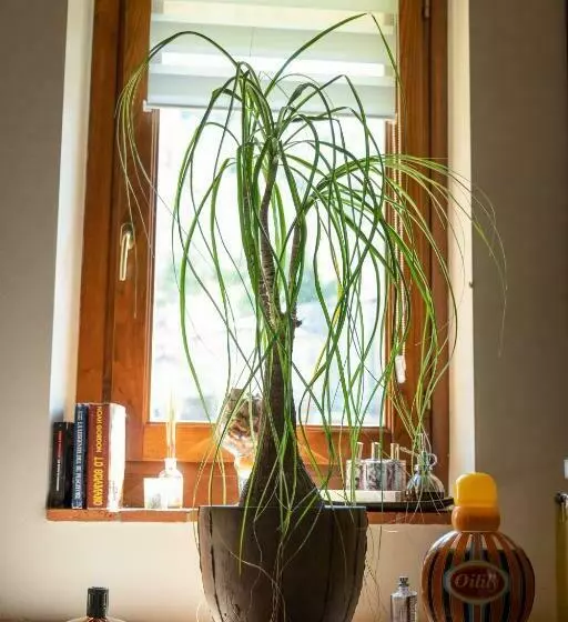 Cathedral Wellness Stay Sauna & Massage