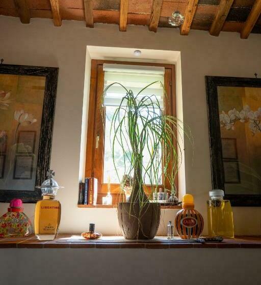 Cathedral Wellness Stay Sauna & Massage