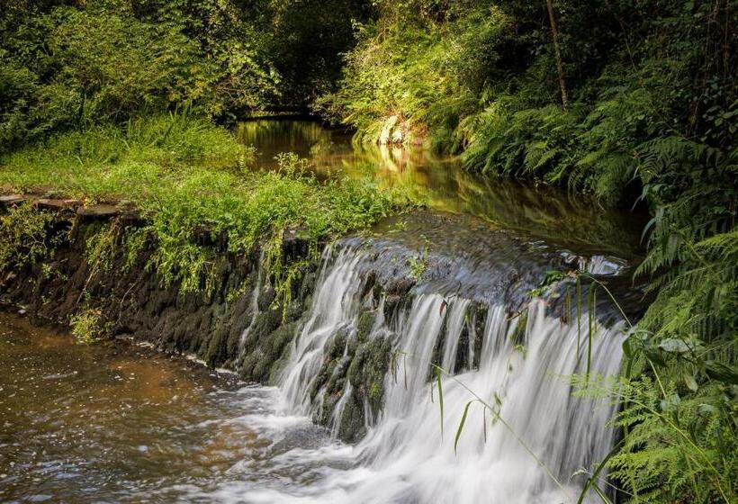 酒店 Be&see In River