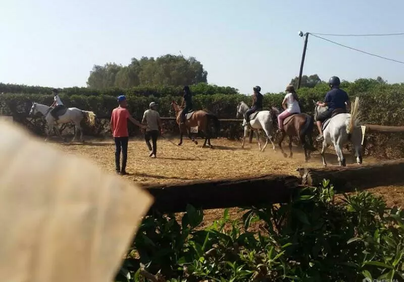 Magnifique Appartement Avec Piscine à Tamaris