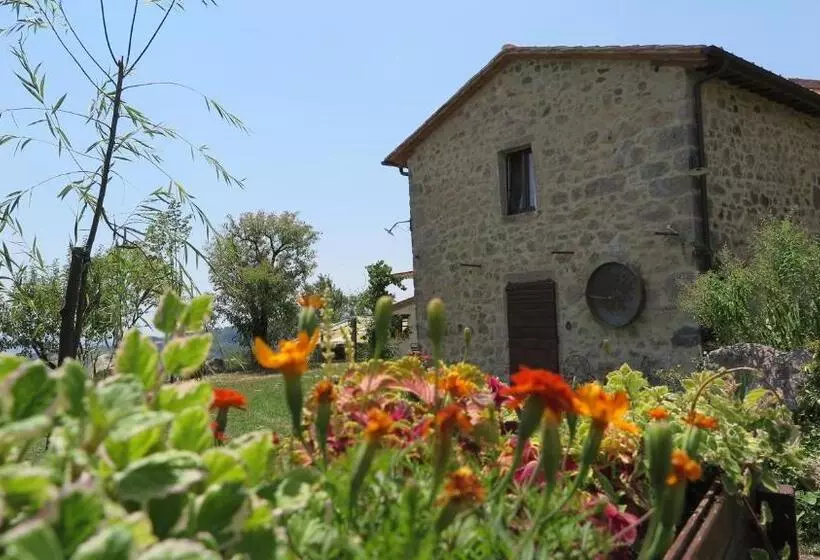 Aamiaismajoitus (B&B) Castagna Dulcis
