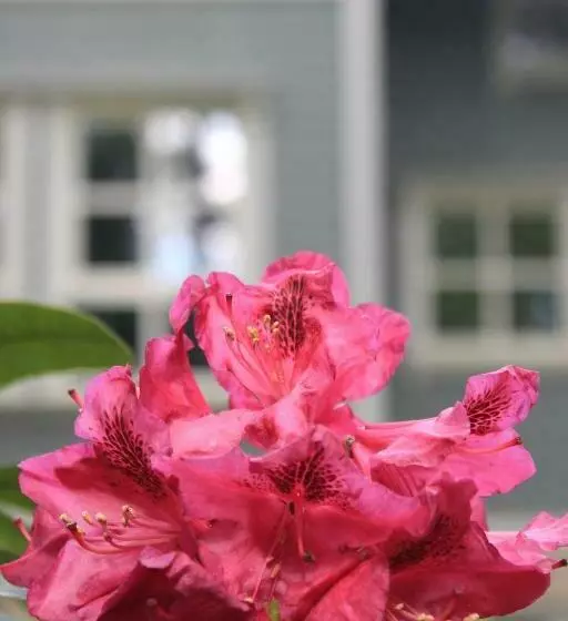 Moderne Wohnung Im Skandinavischen Stil Am Waldrand